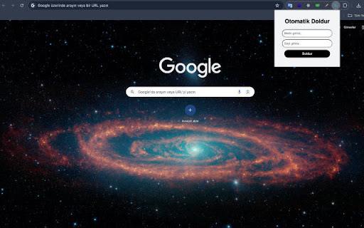 Input Autofiller screenshot 1