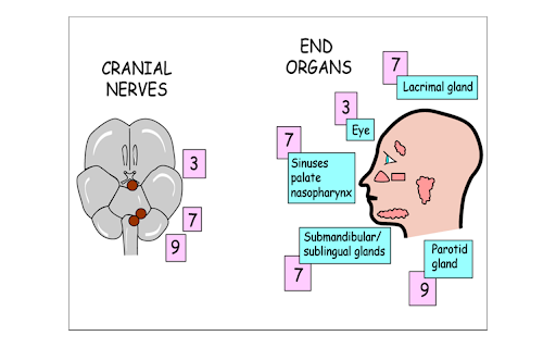 Instant Anatomy screenshot 1