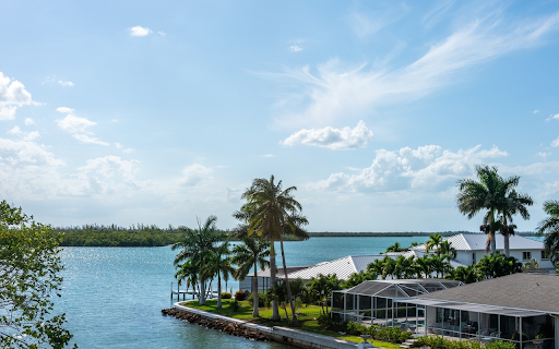 Interesting place to stay screenshot 1