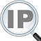 IP Address and Domain Information logo