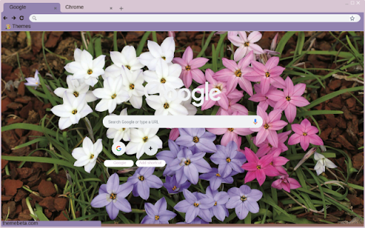 Ipheion screenshot 1