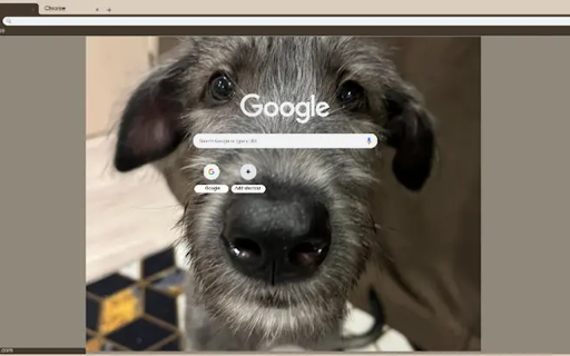 Irish wolfhound screenshot 1