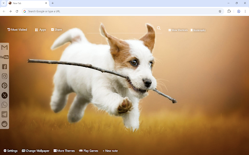 Jack Russell Terrier Wallpaper screenshot 1