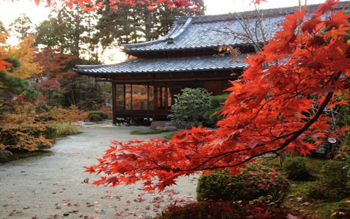 japanese autumn wallpaper screenshot 1