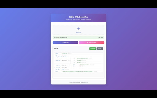 JSON Formatter & Validator screenshot 1