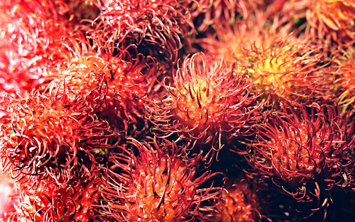 Juicy red rambutans screenshot 1