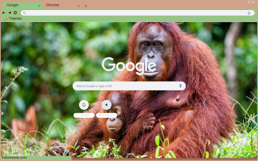 Khi Orangutan screenshot 1