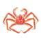 King Crab logo