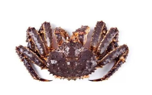 king crab wallpaper screenshot 1