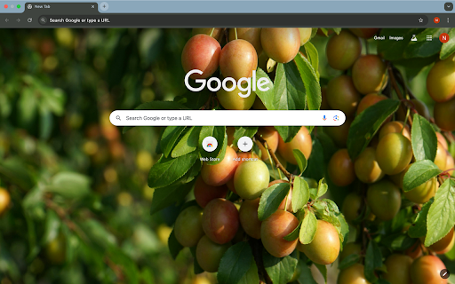 kiwi bunch screenshot 1