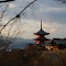 Kiyomizu-dera Temple logo