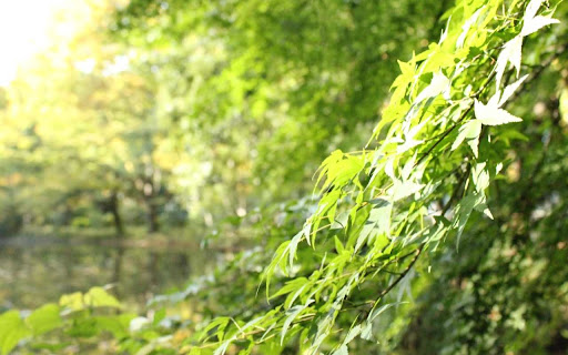 Koganei screenshot 1