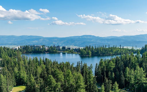 Lakeside Forest Retreat screenshot 1