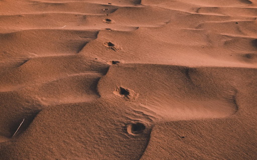 Landscape Photography of a Desert screenshot 1