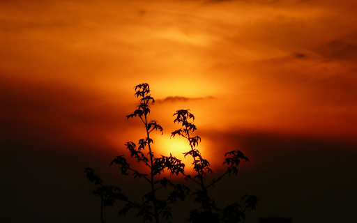 Late afternoon screenshot 1