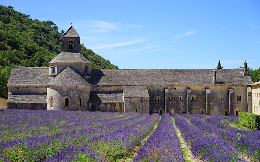 Lavender Fields of Provence screenshot 1