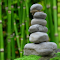 Laying stones in the bamboo forest logo