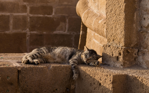 Lazy Afternoon Cat screenshot 1