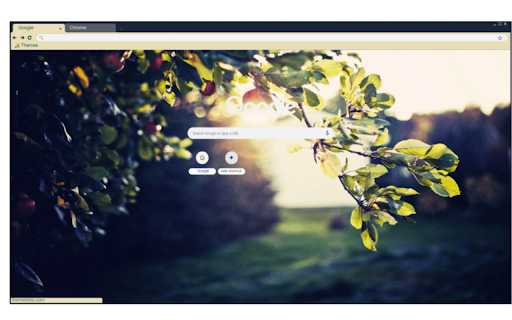 Leaves in dawn screenshot 1