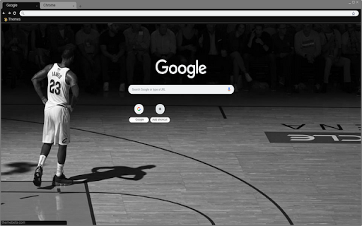 LeBron James screenshot 1