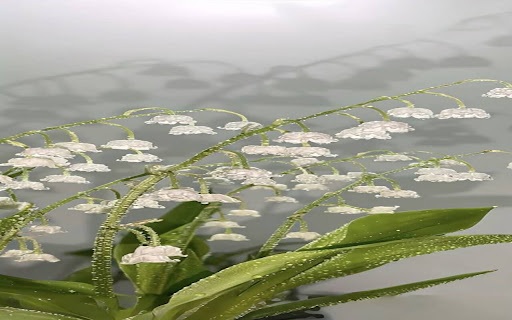 lily pot wallpaper screenshot 1