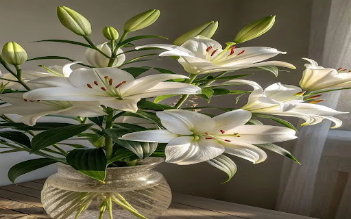 lily vase wallpaper screenshot 1