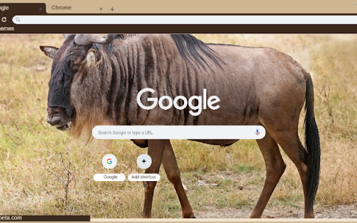 Linh duong dau bo screenshot 1