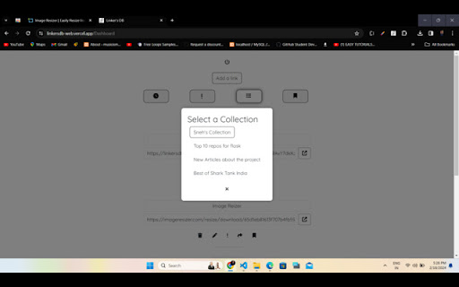 Link Saver screenshot 1
