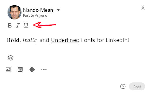 LinkedIn Post - Bold, Italic, and Underline screenshot 1