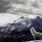 Lone Wolf in the Snow logo