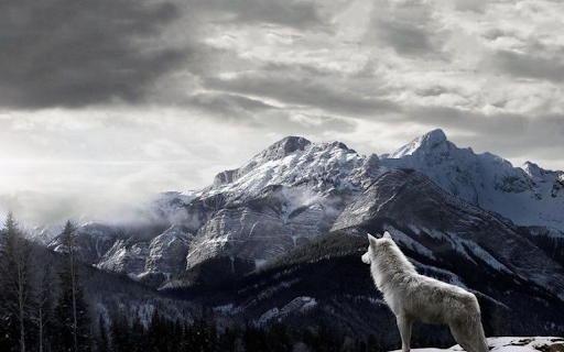 Lone Wolf in the Snow screenshot 1