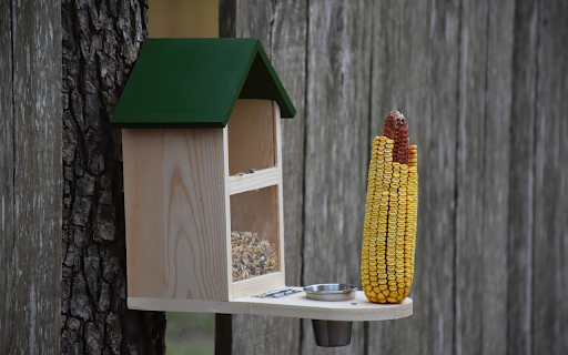 Lovely house screenshot 1