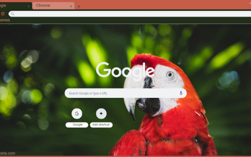Macaw screenshot 1
