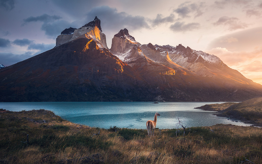 Majestic Mountains and Grazing Guanaco at Sunset screenshot 1