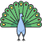 Majestic Peacock Display logo