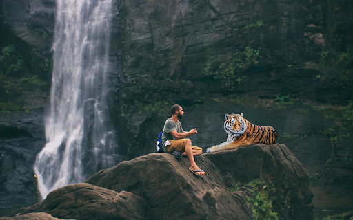 man and tiger screenshot 1