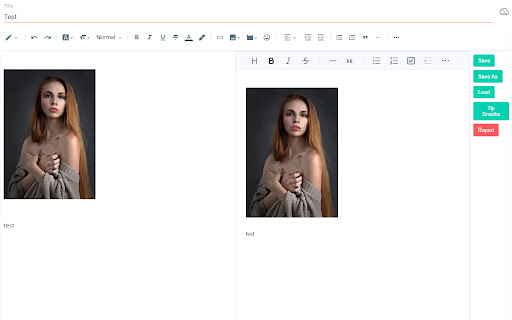 mdblogger screenshot 1