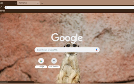Meerkat screenshot 1