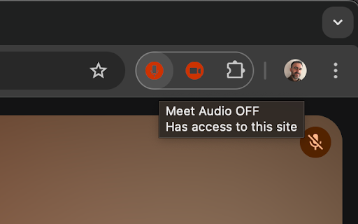 Meet Audio screenshot 1