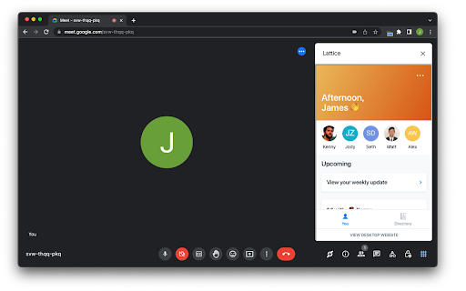 Meet Lattice screenshot 1