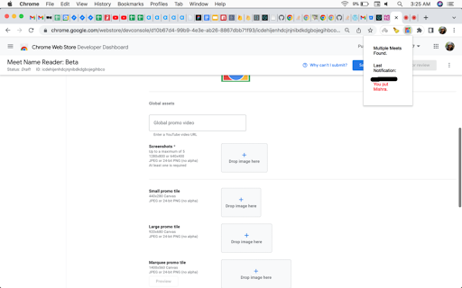 Meet Name Reader: Beta screenshot 1
