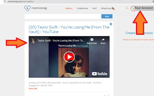 memosnag screenshot 1