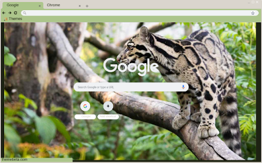 Meo rung screenshot 1