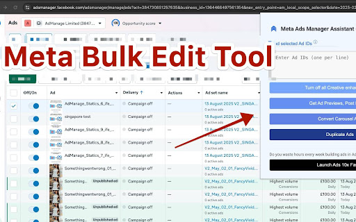Meta Ads Manager Assistant by Admanage.ai screenshot 1