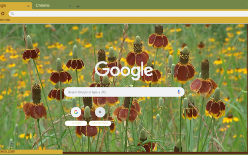 Mexican Hat screenshot 1