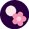 Midnight Blossom logo