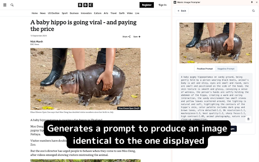 MimicIt Image Prompter screenshot 1