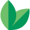 Mint Import logo