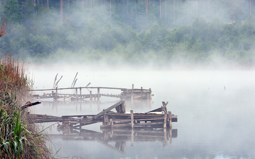 Mist river and forest screenshot 1
