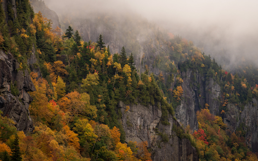 Misty Mountain Slopes screenshot 1